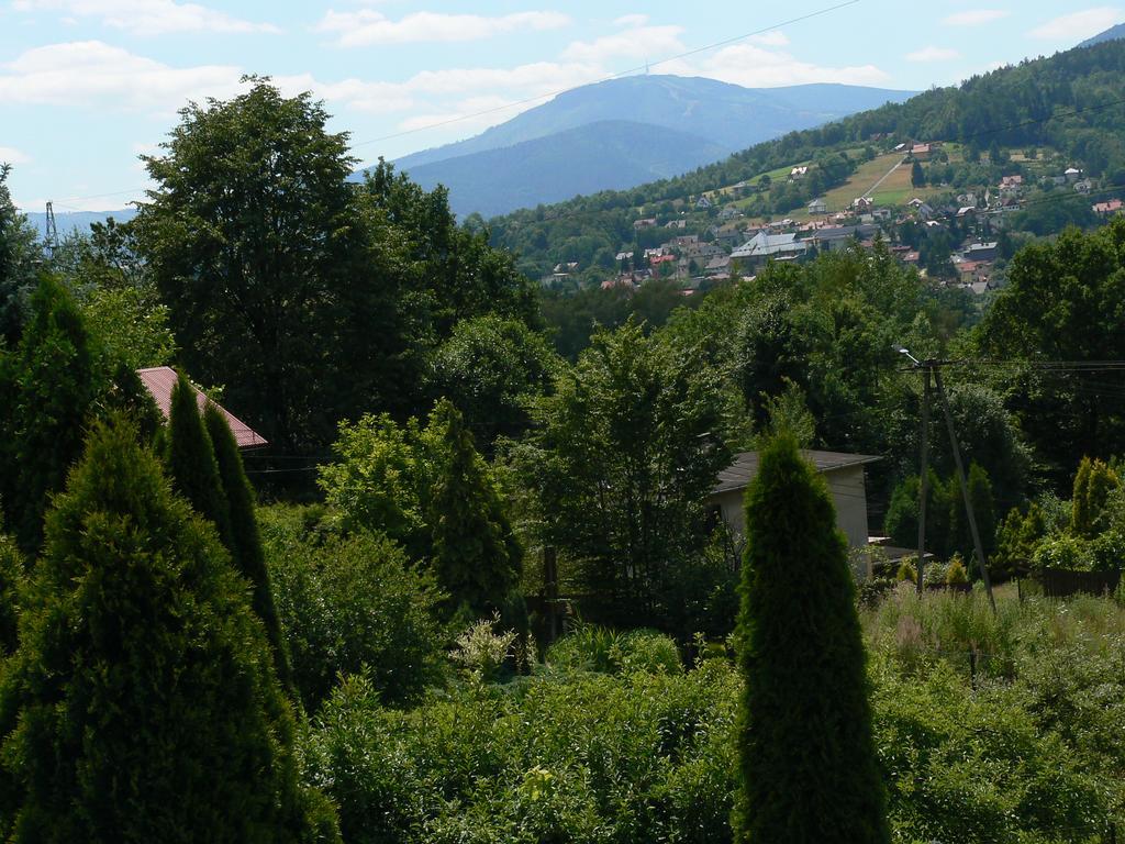 Noclegi W Ksiegarni Bielsko-Biala Bagian luar foto