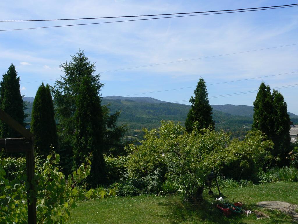 Noclegi W Ksiegarni Bielsko-Biala Bagian luar foto